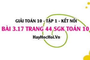 Giải bài 3.17 trang 44 Toán 10 Tập 1 SGK Kết nối tri thức